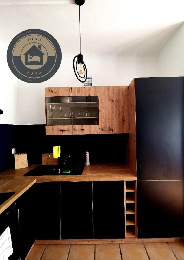 Juna - Nowoczesny Apartament W Centrum Z Widokiem Na Park بروشكوف المظهر الخارجي الصورة